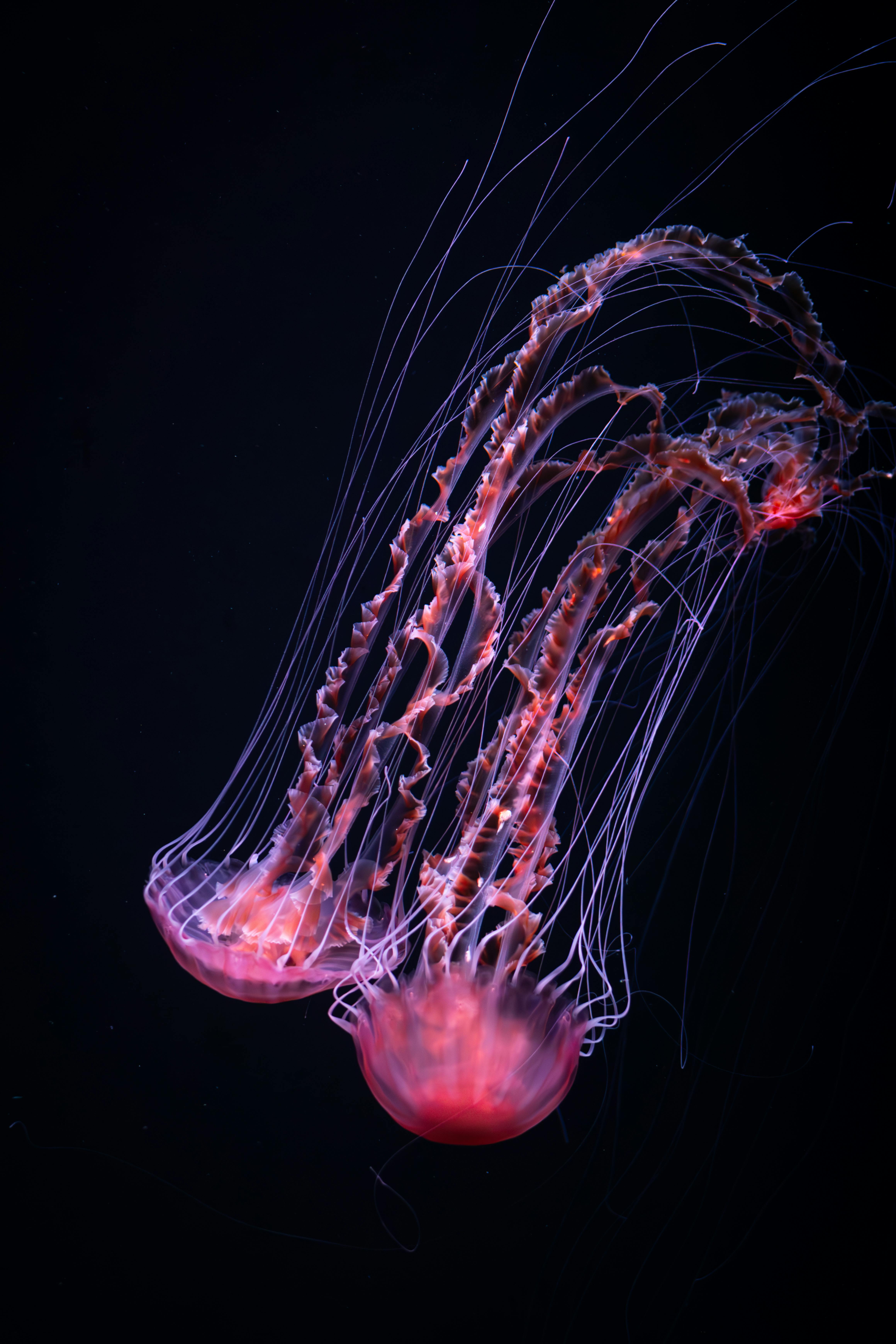 dark abstact image